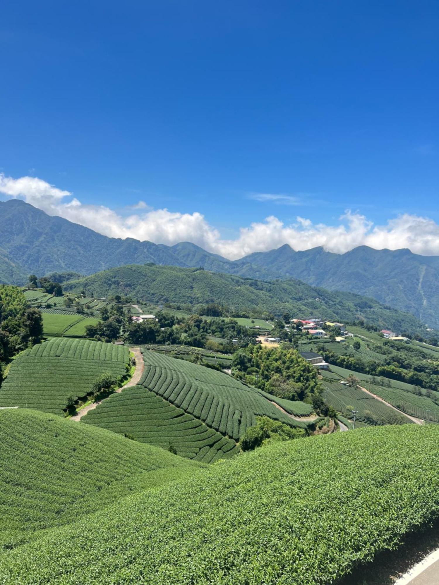 Gaodiyuan Tea B&B 高帝園茶業民宿 Mejsan Kültér fotó