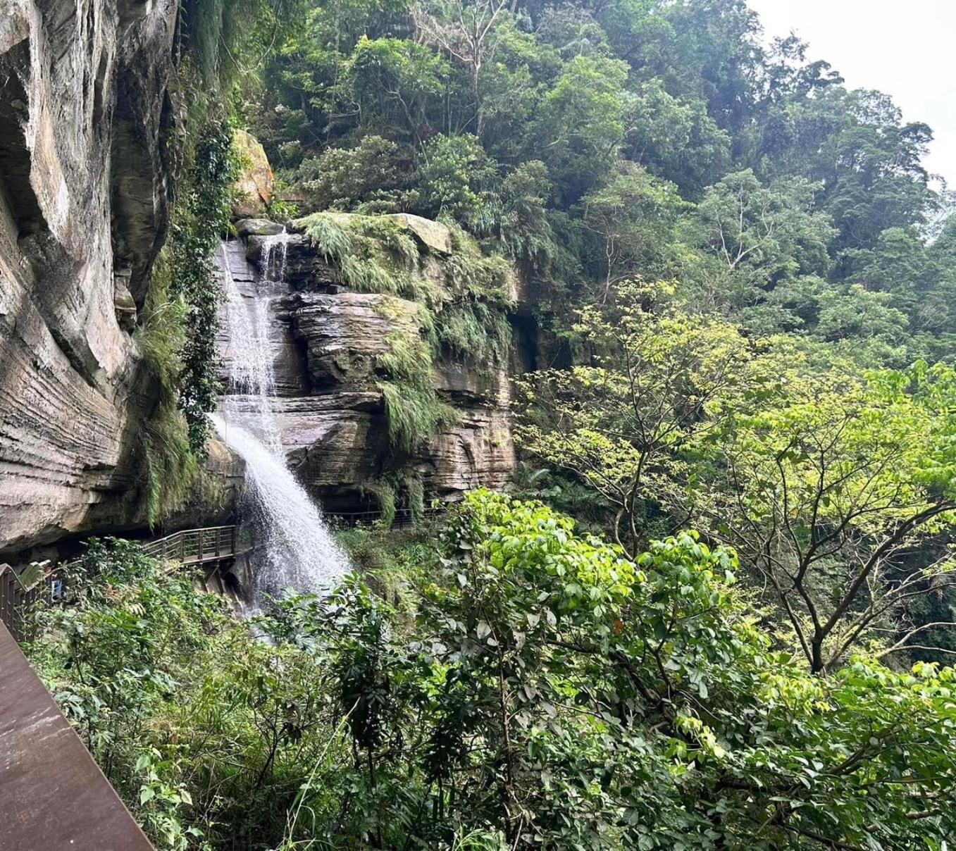 Gaodiyuan Tea B&B 高帝園茶業民宿 Mejsan Kültér fotó